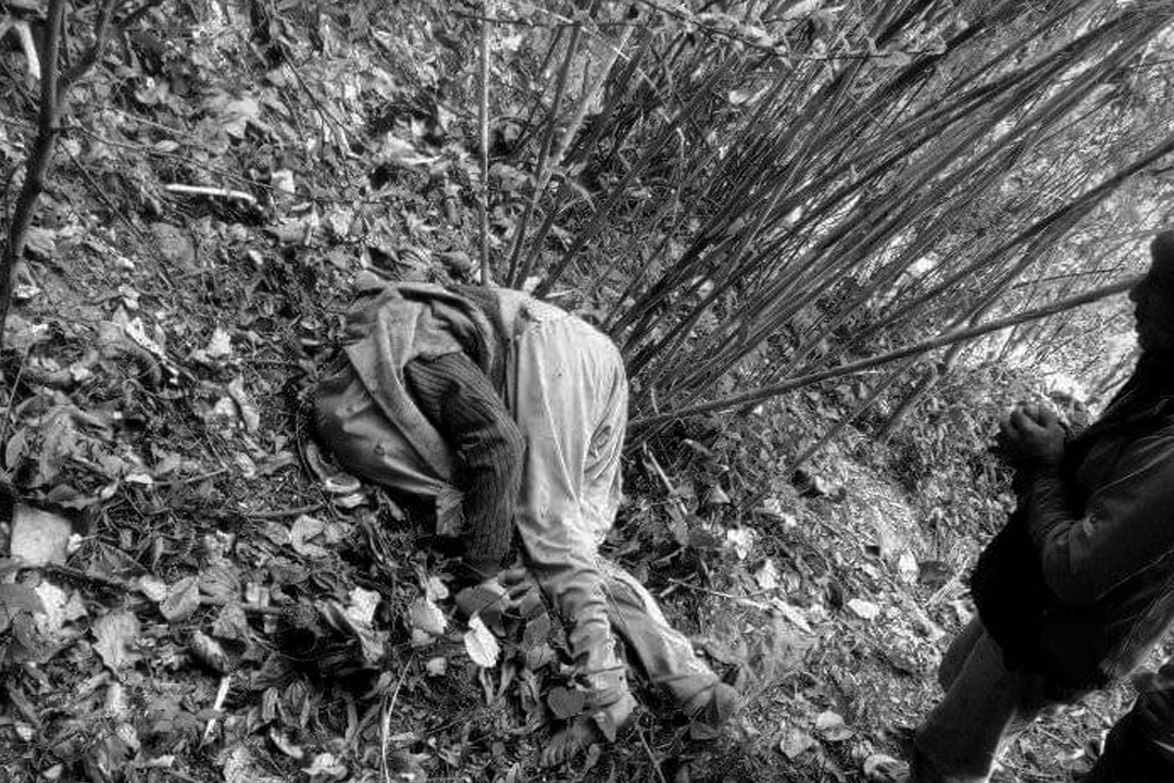 बैतडीको डिलाशैनीमा रुखबाट लडेर एक वृद्धको मृत्यु 